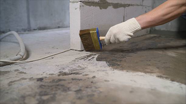 SJ Waterproofing Pros Basement Waterproofing coverage map for Rives Junction, MI and surrounding area